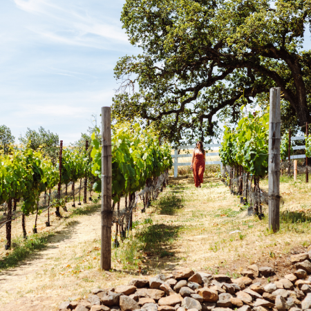 Woman walking through Meritage vineyard