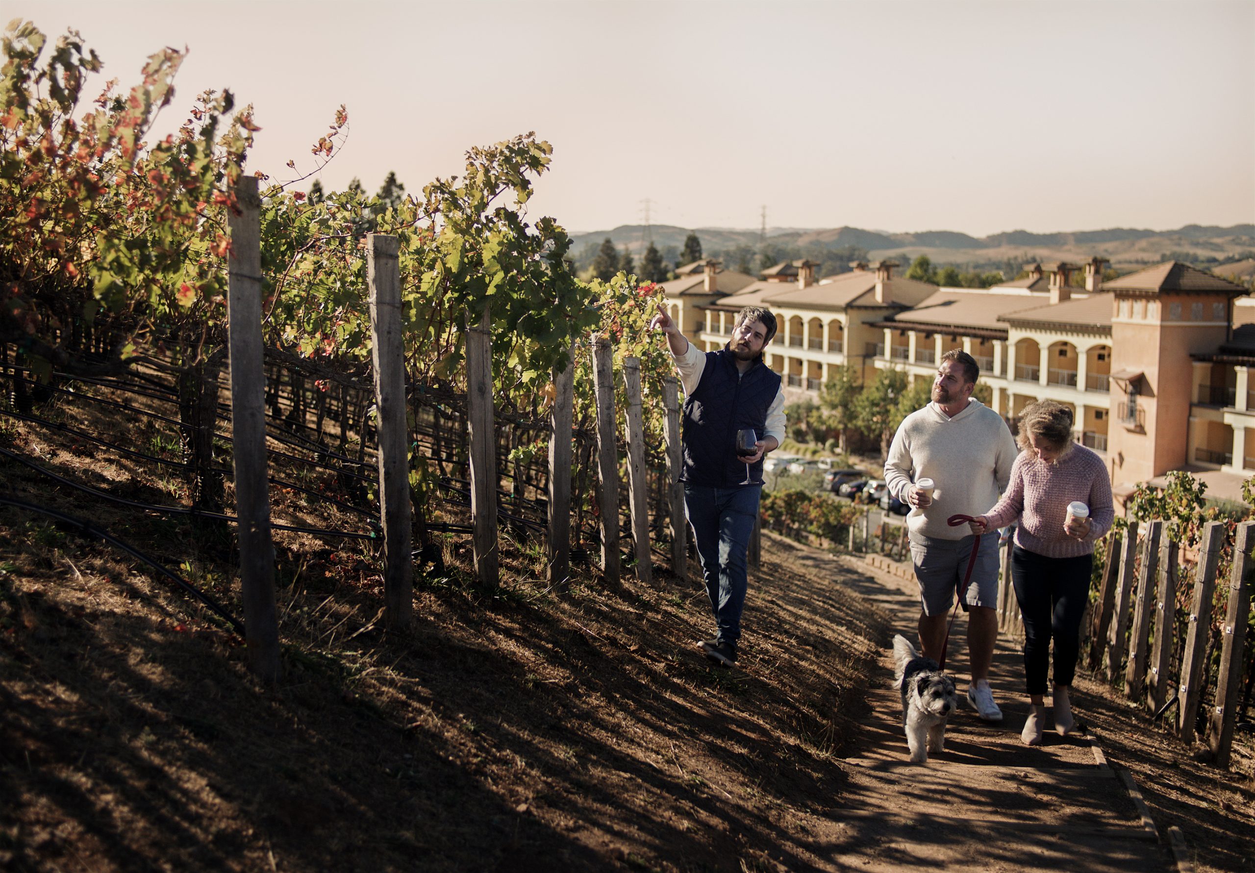 Man and couple walking through a vineyard with a dog zoomed out